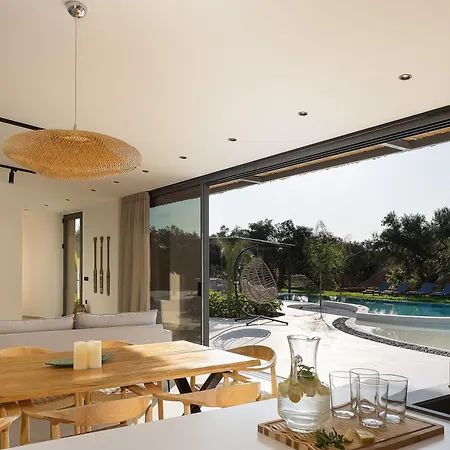 Salisol - Oasis * 하니아