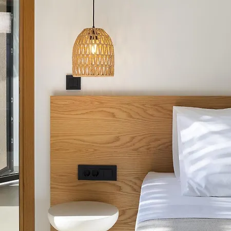 Salisol - Oasis 하니아