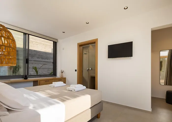 Salisol - Oasis 干尼亞