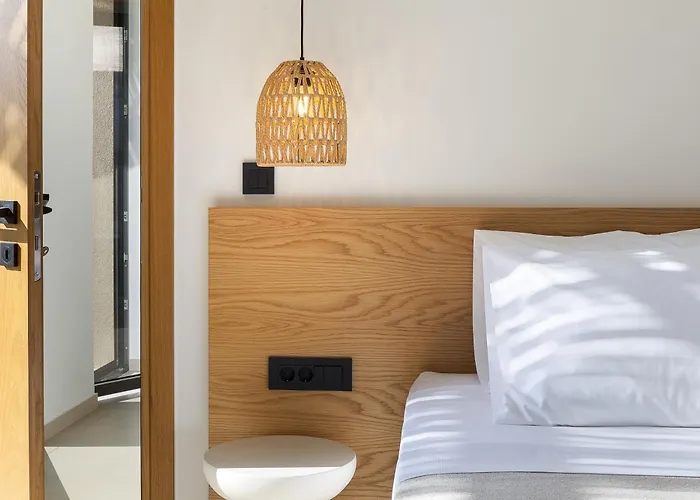 Salisol - Oasis 干尼亞